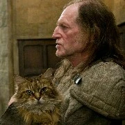 Argus Filch
