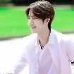 yibowang1
