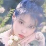 Iu