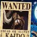 kaido