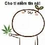 nv phụ