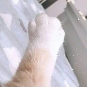Tác giả cutee