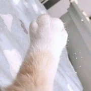 Tác giả cutee