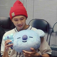 Kim NamJoon