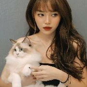 ngọc đàm(cj K)