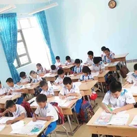 Cả lớp 
