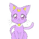 Molita