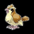 Poppo
