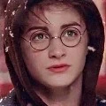 Harry James Potter