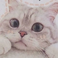 bác sĩ