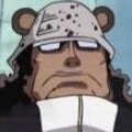kuma