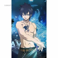 Gray Fullbuster