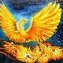 Phượng Hoàng Lửa/ Tiểu Phượng/ Nữ 9