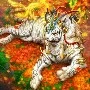 Bạch Hổ/ Tiểu Bạch/ Nữ 9