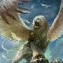 Tiểu Hổ/ Bắc Nguyệt