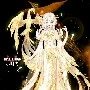Shiratori Mina / Tác giả