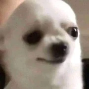 Tác giả ngớ ngẩn :>