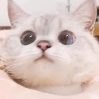 Mymy cute