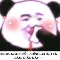 Tác giả