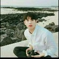 jun nibriintolin