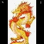 tiểu long