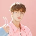 Kim SeokJin
