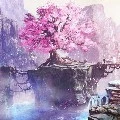 tôi (chồn)