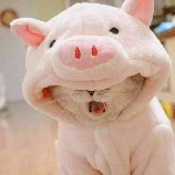 Tác giả : Cαт✟Cαт╰❥↭࿐