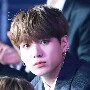 Jeon Jungkook(Kookie)