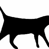 nhân vật tổng hợp