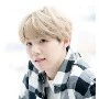SUGA