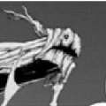 aldoron