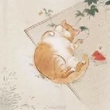 hệ thống --- mumu