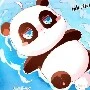 Panda bất cần đời 😌😌😌