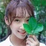 Tuyên Lộ