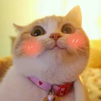 Tác giả 