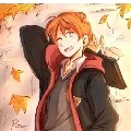 Ron Weasley