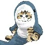 Hăn :33 - Tg cute