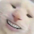 Ngáo_ad