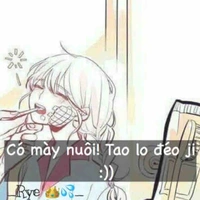 Salana_Hội phó hội hs