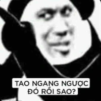 Con tác giả thích tạo nghiệp 