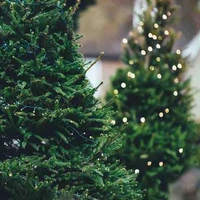 nhân vật phụ mode on