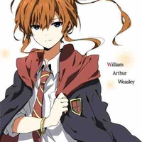 Williams ( Bill ) Weasley 