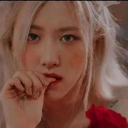 Rosé
