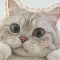 nấm