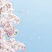 ♡tác giả♡