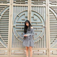 Bạn thân meo 