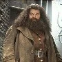 Hagrid