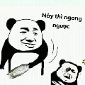 Coan tác giả thiện lương nhất thế giới