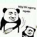 Coan tác giả thiện lương nhất thế giới